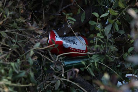 litter wasatch magazine
