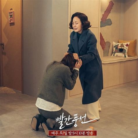 B M T H U Tr Ng C A C Nh Phim H N Nh Nh T Tu N Qua L N Phim Gay C N Nh Ng Ch C H Nh