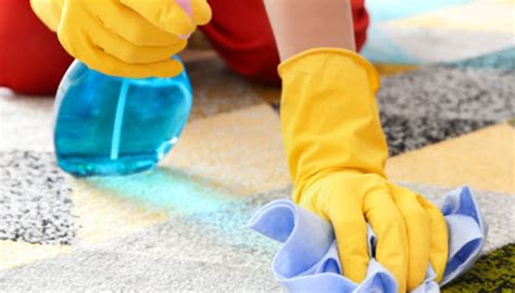 Carpet Cleaning Tips