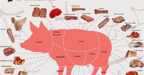 Cortes De Carne Diagrama