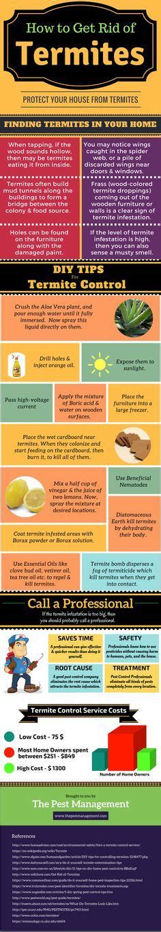 How To Get Rid Of Termites A Complete Guide With Infographic