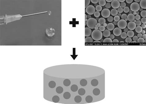 Figure From Injectable Microsphere Hydrogel Combination Systems For