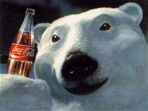 Polar Bear Drinking Cokecola Polar Aw Coca Cola Drinking Hd