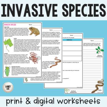 Invasive Species Investigator Worksheet Free Printable Maths