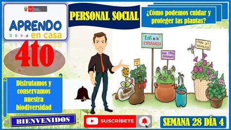 C Mo Podemos Cuidar Y Proteger Las Plantas Youtube