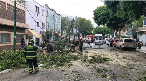 Alerta Amarilla Mapa Fuertes Rachas De Viento Derriban árboles En