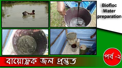 Biofloc Water Preparation Part 2 Biofloc Water Preparation Bangla