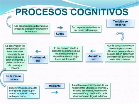 Mapa Conceptual Y Mapa Mental Procesos Cognitivos PPT