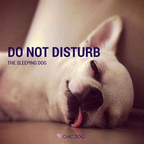 Do Not Disturb Sleeping Quotes. QuotesGram