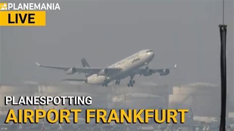 LIVE Planespotting Frankfurt Airport A380 B787 B777