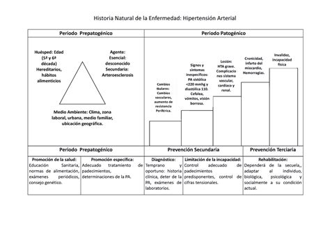 Historia Natural De La Enfermedad HTA Historia Natural De La