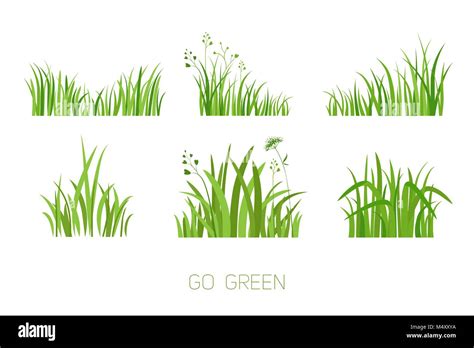 Set Eco grass Stock Vector Image & Art - Alamy