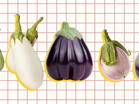 A Information To Varieties Of Eggplants RecipeAddictive