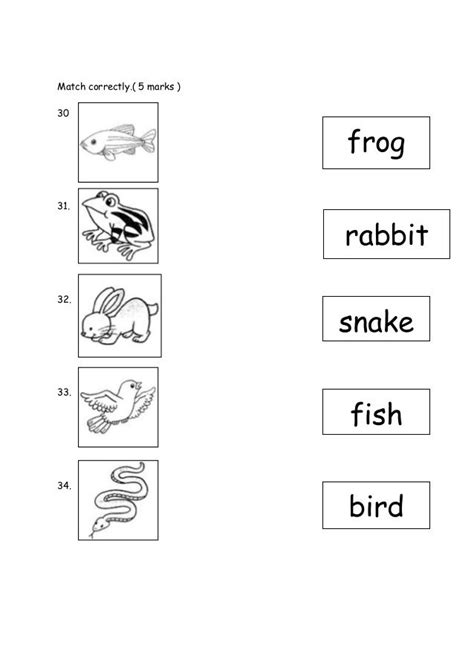 discover  perfect ruler  place animal  worksheet pond