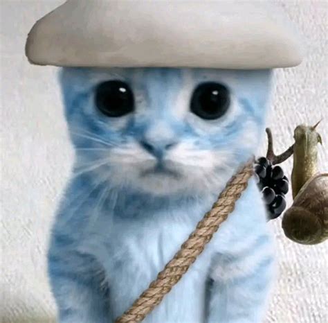 a blue kitten holding a rope and a snail on it's back while wearing a ...