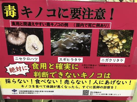 【大阪府太子町】毒きのこにご注意ください！ 太子タウン