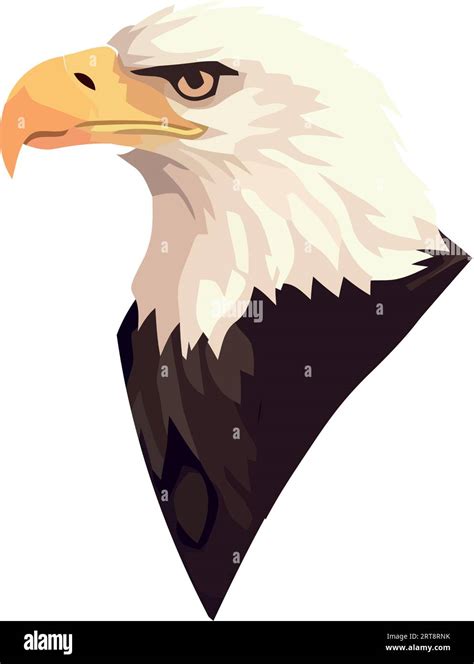 Bald eagle flying, symbol of freedom, in nature beautiful illustration ...