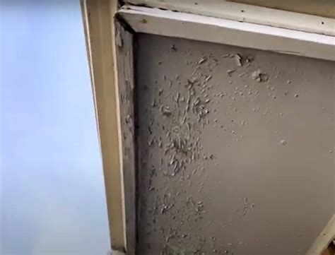 How To Tell If Your House Has Asbestos An In Depth Guide Wa Building