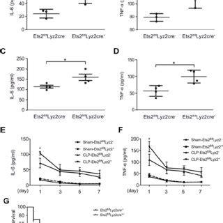 Ets Inhibits Lps Induced Il And Tnf Production And Improves The