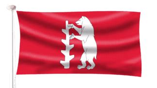 Warwickshire Flag | Hampshire Flag Company