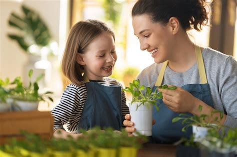 Im Genes De Familia Plantas Flores Descarga Gratuita En Freepik