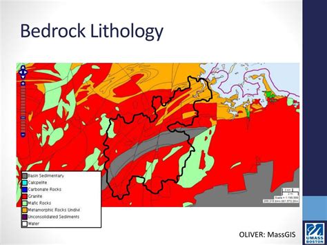 Ppt Restoring Eelgrass To The Neponset River Estuary Powerpoint