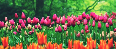 Services and Pre-Planning at Henderson-Barker Funeral Homes 11