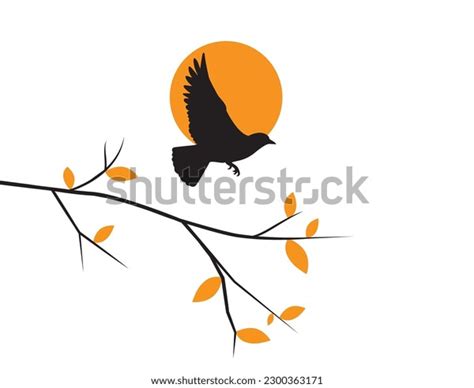 Bird Silhouette On Sunset Vector Flying Stock Vector (Royalty Free ...