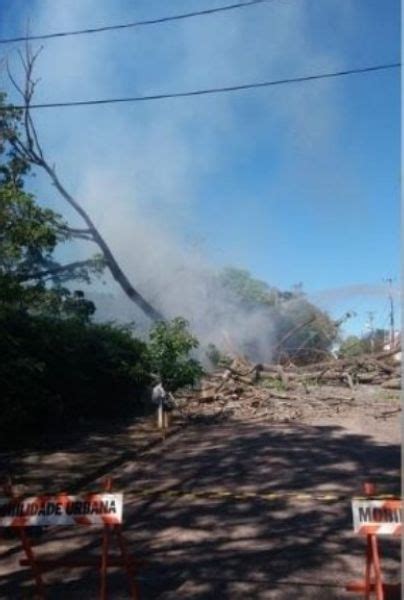 Queda de árvore deixa moradores sem energia em Valinhos ACidadeON