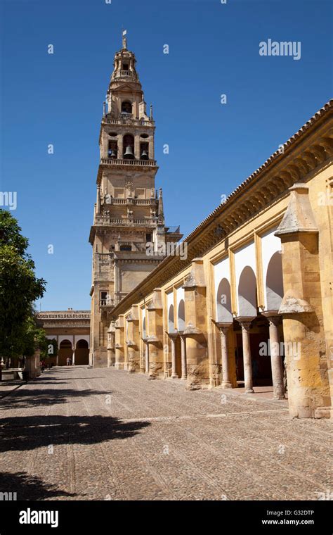 Glockenturm Der Kirche Und Kreuzgang Der Mezquita Moschee Kathedrale