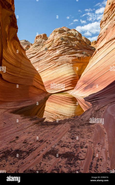 The Wave Arizona Amazing Flowing Rock Formation In The Rocky Desert