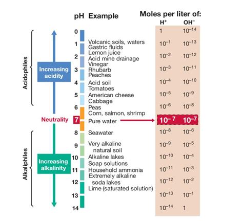 pH Requirements of Microorganism – Microbe Online