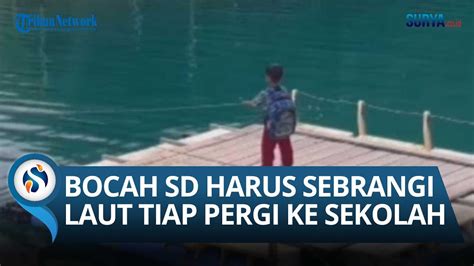 VIRAL Bocah SD Rela Sebrangi Laut Demi Pergi Ke Sekolah Tiap Hari