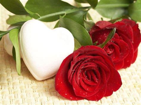 Romantic Love Flowers Wallpapers Top Beautiful Images