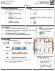 Exam Review Pdf Natalie Blanc And Hilary Kim Bisc Bisc Si