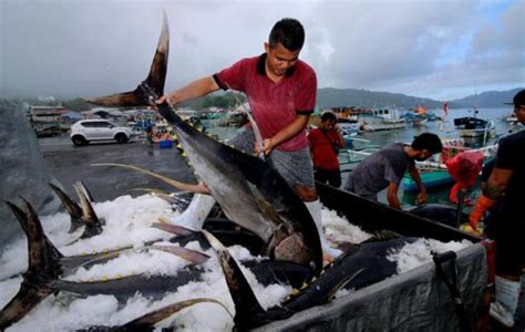 Ramadan Hingga Lebaran 2022 KKP Jamin Stok Ikan Aman Global News Co Id