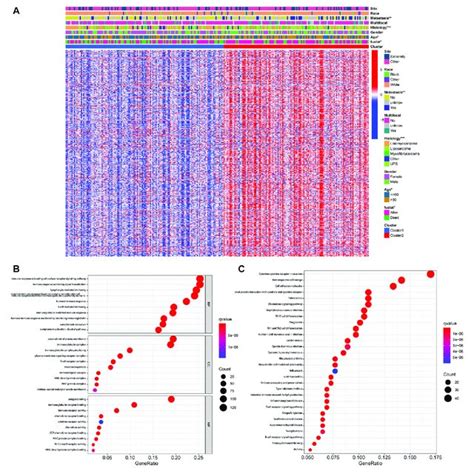 Identification Of Degs Between Pyroptosis Related Clusters A