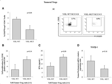 Tumor Tregs From VHL WT RCC Patients Are More Suppressive Than