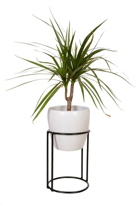 These 13 Modern Plant Stands Put Your Favorite Plants On Display ...