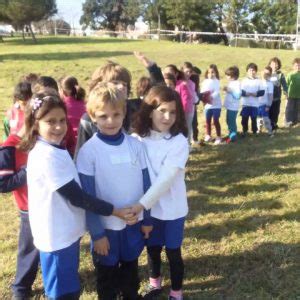 Agrupamento De Escolas Carlos Amarante Inicio