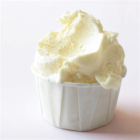 Quick Vanilla Ice Cream Recipe Martha Stewart