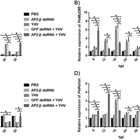 Effect Of Pmap2 β Silencing On The Toll And The Imd Signaling Pathways Download Scientific