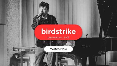 Martin Harich Birdstrike Piano Version LIVE YouTube