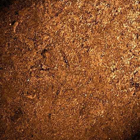 Soil dirt texture — Stock Photo © ellandar #30695227