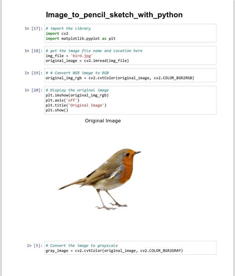 Image to Pencil Sketch with Python! 🚀 - Freeeeeeeeee - Medium