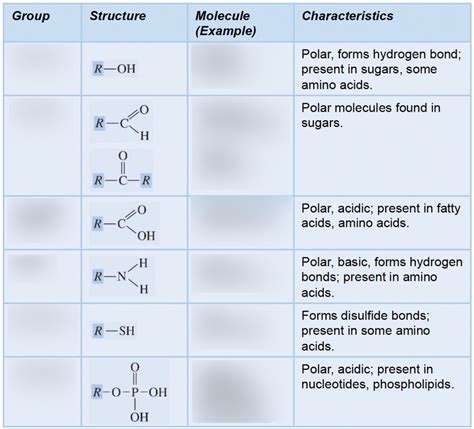 Diagrams For Functional Groups Diagram Quizlet