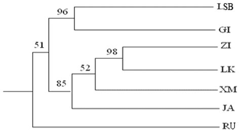 Ijms Free Full Text Genetic Differentiation Between Natural And