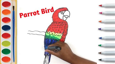 Drawing A Realistic Parrot Bird Painting For Kids Art Colors And