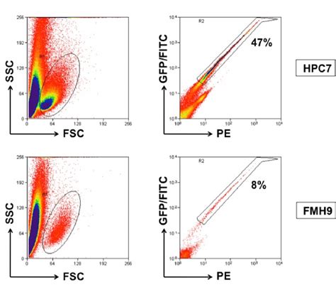 1 Analysis of Flow Cytometry in ShRNA transfected cells and GFP ...