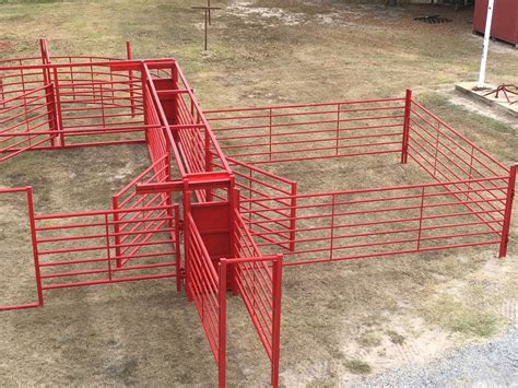 Custom Cattle Handling System 2 | BrinTough Equipment, Inc. Texas